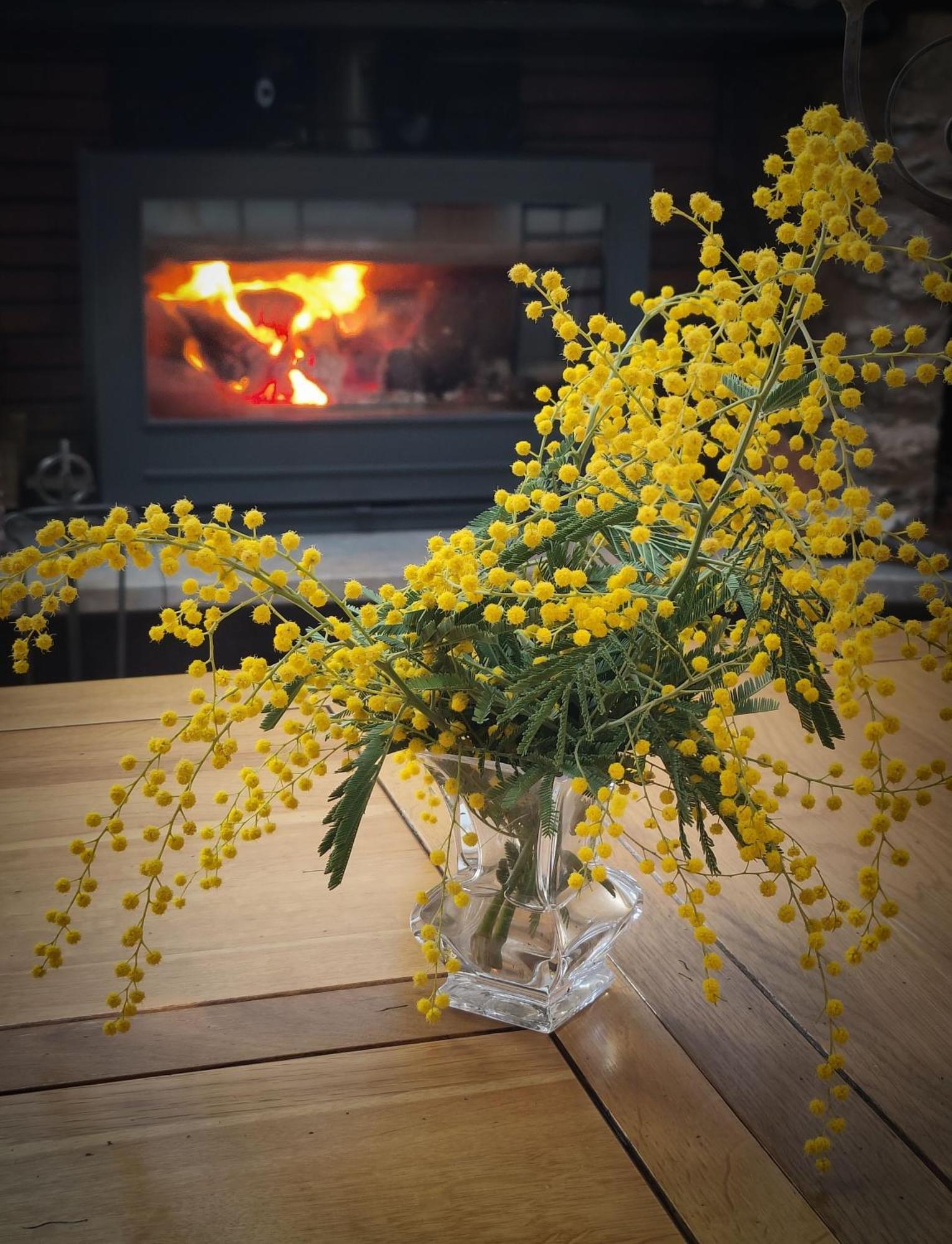 Mas Peu Del Causse Bed & Breakfast Тюир Екстериор снимка